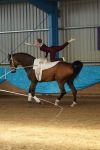 DSC00474-Kopie