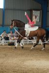 DSC00523-Kopie