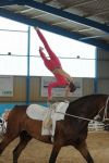 DSC00526-Kopie