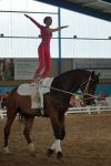 DSC00532-Kopie