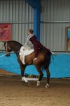 DSC00541-Kopie