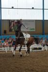 DSC00543-Kopie