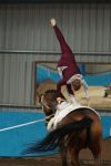DSC00545-Kopie