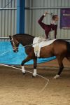 DSC00555-Kopie