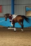 DSC00566-Kopie