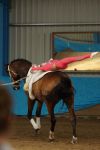 DSC00584-Kopie