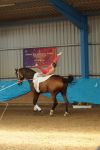 DSC00588-Kopie