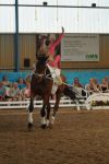 DSC00591-Kopie