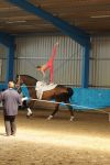 DSC00609-Kopie