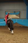 DSC00621-Kopie