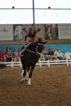 DSC00624-Kopie