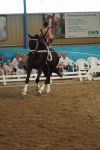 DSC00632-Kopie