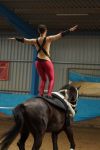 DSC00642-Kopie