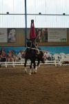 DSC00652-Kopie