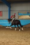 DSC00653-Kopie