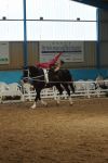 DSC00656-Kopie
