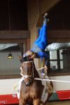 Image028511768