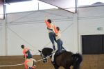 DSC00499-2