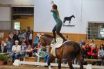 DSC02160-Kopie