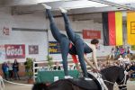 DSC05267-Kopie