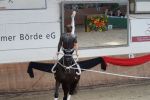 DSC05762-Kopie